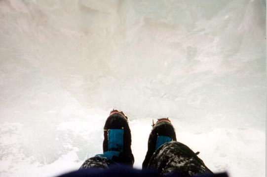 feet.jpg - 50665 Bytes