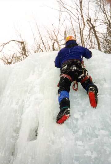 yakpak7.jpg - 64944 Bytes