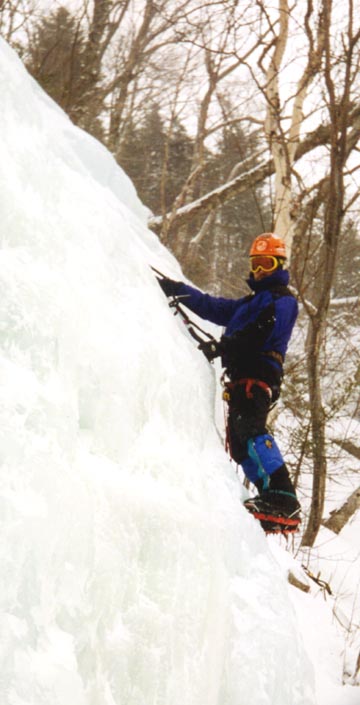 yakpak8.jpg - 68178 Bytes